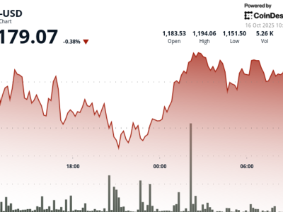 Penurunan Harga BNB 11% Meski Adopsi dan Dukungan Institusional Meningkat