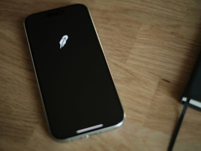 Needham Naikkan Target Harga Robinhood Jadi Rp 2.38 juta ($145) , Optimis Pertumbuhan Platform