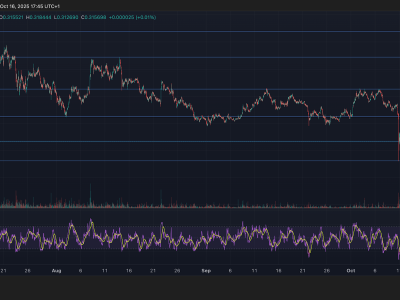 Volatilitas Stellar Lumens dan Dorongan Institusional di Pasar Pembayaran Digital