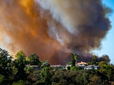 Startup Stand Dapatkan 35 Juta USD untuk Ekspansi Asuransi Bencana di Florida