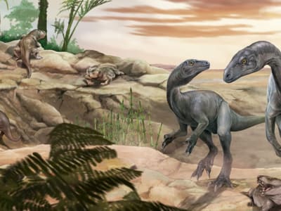 Penemuan Fossil Dinosaurus Tertua Ungkap Awal Evolusi Leher Panjang