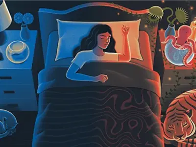 Menyelami Transisi Tidur: Dari Kesadaran ke Hypnagogia dan Kreativitas Otak