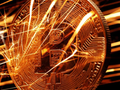 Penegak Hukum AS Sita Bitcoin 13,4 Miliar dari Penipu Pig Butchering