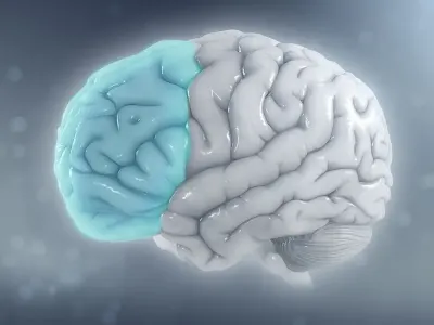 Model Otak 3D MiBrain: Terobosan Baru Studi Penyakit Alzheimer dan Pengobatan Personal