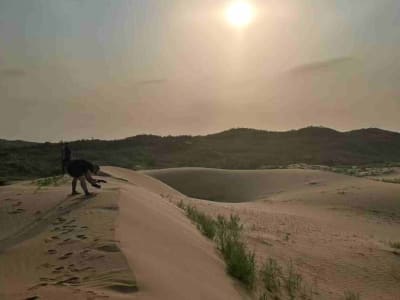 Keajaiban Baijitan: Mengalahkan Gurun Mu Us dengan Teknik Sederhana