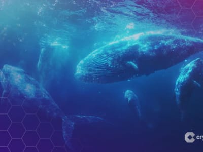 OpenSea Siap Luncurkan Token SEA di 2026, Buka Era Baru Perdagangan Kripto