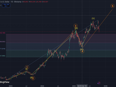 Bitcoin Diprediksi Masuki Bear Market Panjang, Harga Bisa Turun ke 70.000 USD