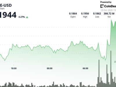 Dogecoin Stabil, Minat Institusional dan Korporasi Dorong Harga Naik