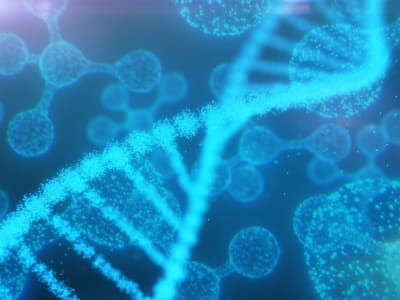 Rahasia Panjang Umur Tikus Tanpa Rambut Bisa Jadi Kunci Terapi Anti-Aging