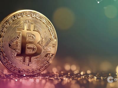 Trader Besar ‘Trump Insider’ Taruh Rp 1.25 triliun ($76 Juta)  Short Bitcoin, Pasar Bisa Guncang Lagi