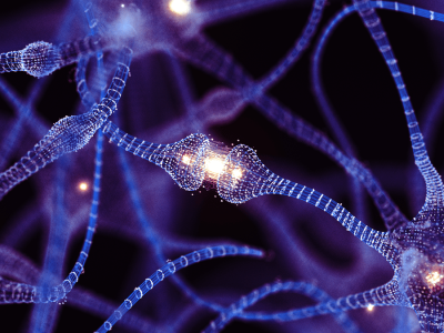 Menggunakan Otak Mini Hidup untuk Komputer Hemat Energi Masa Depan