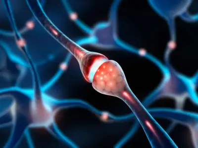 Penemuan Mekanisme 'Kiss-Shrink-Run' dalam Transmisi Sinyal Otak