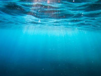 Teknologi Baru Ubah Karbon Laut Jadi Plastik Ramah Lingkungan