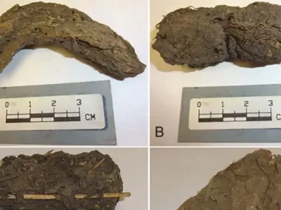 Mengungkap Penyakit Usus Kuno dari Tinja Berusia 1.300 Tahun di Meksiko