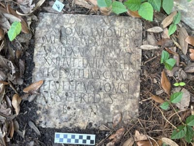 Batu Nisan Romawi 2.000 Tahun Ditemukan di Halaman Belakang New Orleans