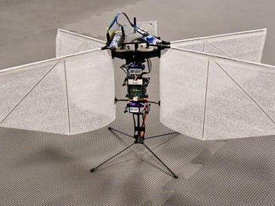 Drone Berkedip Meniru Terbang Ngengat untuk Pengawasan Rahasia Efisien