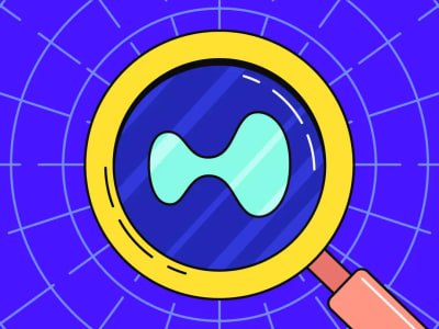 Hyperliquid Targetkan Dana 1 Miliar Dolar untuk Perluas Ekosistem dan Beli Kembali Token HYPE