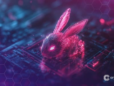 Bunni DEX Tutup Usai Kehilangan 8,4 Juta Dolar, Teknologi Dibuka untuk Publik