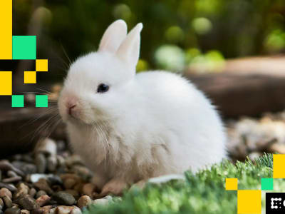 Bunni Resmi Tutup Setelah Diretas, Dana Rp120 Miliar Hilang