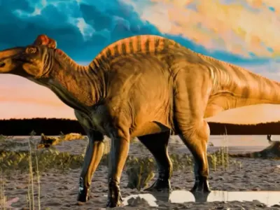 Penemuan Mumi Dinosaurus Bebek Berparuh dengan Kulit dan Kuku Utuh