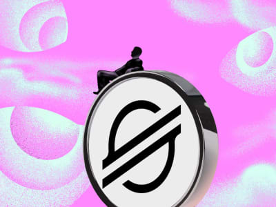 Investor Akumulasi Stellar (XLM) di Tengah Harga Turun Menarik Perhatian