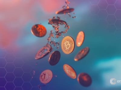 Polymarket Akan Luncurkan Token POLY dan Airdrop Setelah Kembali ke AS