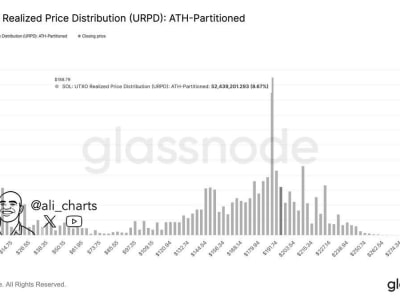 Solana Bergerak Di Zona Penting Rp 3.09 juta ($188) –Rp 3.21 juta ($195) , Apa Artinya Untuk Harga SOL?