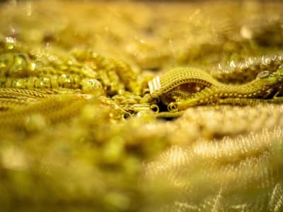 China Temukan Cadangan Emas Terbesar Dunia Senilai Rp 1.358 Triliun di Hunan