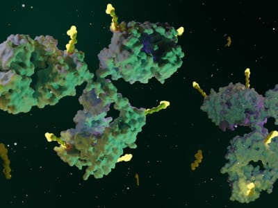 Strategi Global dan Produk Diferensiasi: Masa Depan Pengobatan Kanker dengan ADC