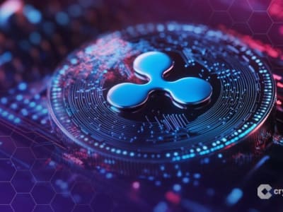 Pengadilan India Akui Crypto Sebagai Properti, Larang WazirX Gunakan Dana Pengguna