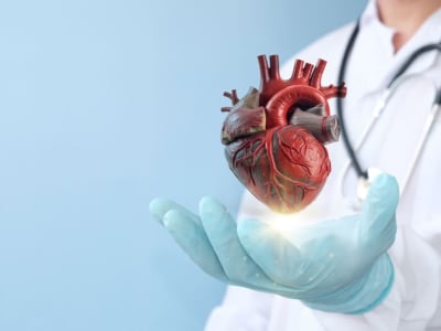 FDA Setujui Sistem Pencitraan Intracardiac Compact untuk Prosedur Jantung Canggih