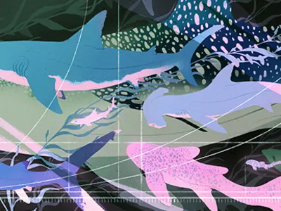 Mengungkap Rahasia Evolusi: Hiu Mengikuti Aturan Matematika Dua Pertiga