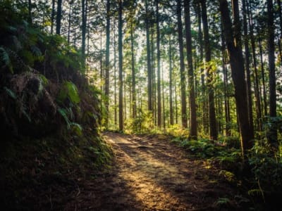 Teknologi Navigasi Bebas GPS dari Skyline Nav AI Hadirkan Solusi di Era Gangguan Sinyal