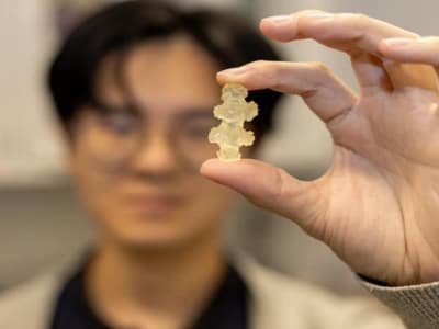 Koral Lunak Pasifik yang Bisa Mengeras Instan Jadi Inspirasi Teknologi Canggih