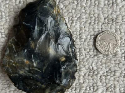 Penemuan Kapak Tangan Neanderthal Berusia 50 Ribu Tahun di Pantai Sussex