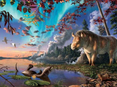 Penemuan Badak Purba Kutub Utara Ungkap Jejak Evolusi Baru