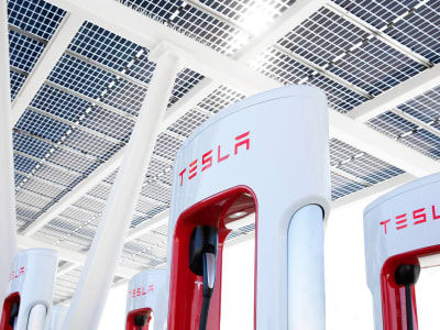 Margin Turun Drastis, Tesla Terancam Rugi Meski Pendapatan Rekor