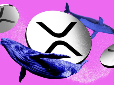 Investor Besar Percepat Investasi XRP Meski Ada Hambatan Regulasi ETF