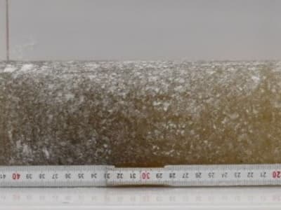 Penemuan Es Antartika Berusia Enam Juta Tahun Ungkap Iklim Purba Bumi