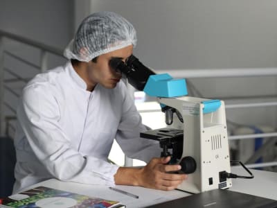 AI dan Masa Depan Penciptaan Kehidupan Baru di Laboratorium