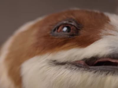 Robot Dinosaurus Berbulu Dobot Bawa Inovasi Robotika China ke Pendidikan dan Pariwisata