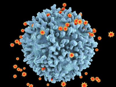 Peneliti Xie Lanjutkan Riset Vaksin HIV Berbasis mRNA di Laboratorium Terkemuka