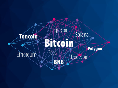 Apakah Turunnya Harga Dogecoin Kesempatan Emas Bagi Investor Spekulatif?