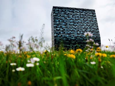 Belanda Didorong Lepaskan Kendali Nexperia Setelah Penangguhan Aturan Ekspor AS