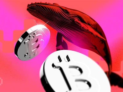 Generasi Baru Bitcoin Whales Kuasai 45% Resiko Jual Tinggi di Pasar