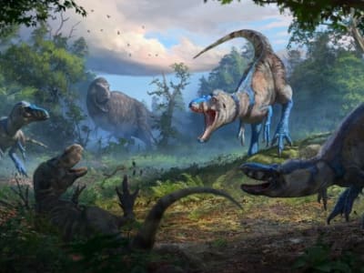 Penemuan Nanotyrannus: Spesies Kecil yang Berbeda dari Tyrannosaurus rex