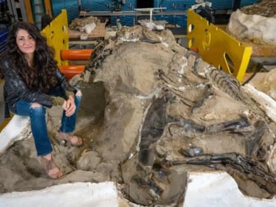 Penemuan Fosil 'Dueling Dinosaur' Buktikan Nanotyrannus Spesies Tersendiri