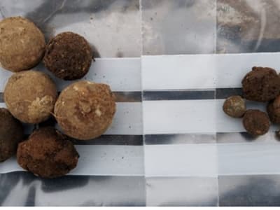 Penemuan Proyektil Senjata Ungkap Keberanian Terakhir di Medan Culloden 1746