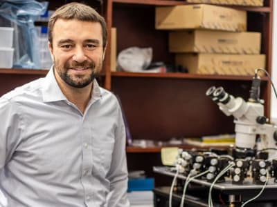 Komputer Mini Otak Daya Rendah Bisa Ubah Cara AI Belajar dan Beroperasi