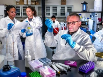 Tekanan Tinggi pada Peneliti Dunia dan Tantangan Masa Depan Riset